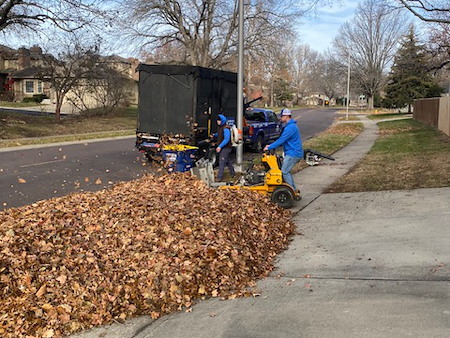 Leaf Removal